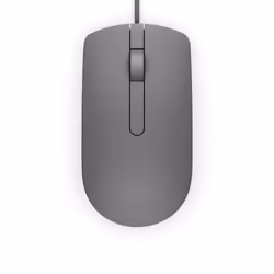 DELL MS116 mouse Ambidestro USB tipo A Ottico 1000 DPI