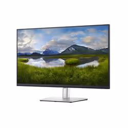 DELL Monitor 32 USB-C - P3221D