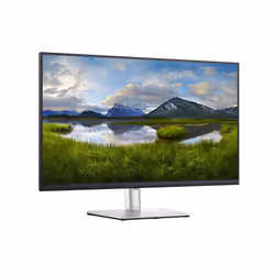 DELL Monitor 32 USB-C - P3221D