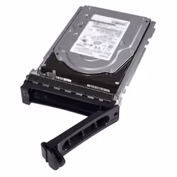 DELL 161-BBRC, 2 TB, 7200 Giri/min, 3.5", Serial ATA III