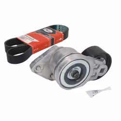 Set di cinghie Poly-V GATES K028PK1260HD