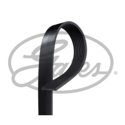 Cinghia Poly-V GATES GAT8PK1808HD