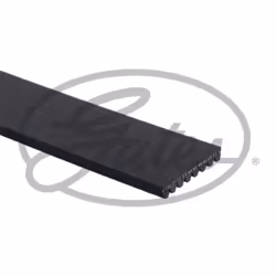 Cinghia Poly-V GATES GAT8PK1808HD
