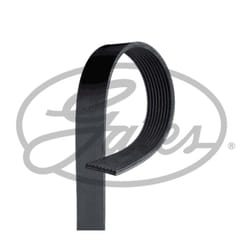 Cinghia Poly-V GATES GAT9PK1215HD