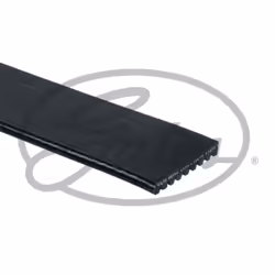 Cinghia Poly-V GATES GAT9PK1215HD