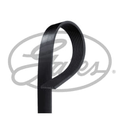 Cinghia Poly-V GATES 8PK1250HD