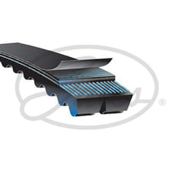 Cinghia Poly-V GATES 2/XPB2195