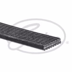 Cinghia Poly-V GATES GAT8DPK1410