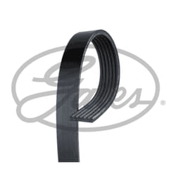 Cinghia Poly-V GATES GAT6PK1223XS