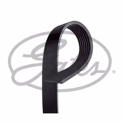 Colore: nero. Indice: GAT7PK1038SF. Larghezza [mm]: 24,9. Lunghezza [mm]: 1038. Materiale: PA (Poliammide), EPDM (Etilene-Pro ...