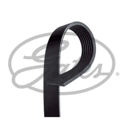 Cinghia Poly-V GATES GAT7PK1038SF