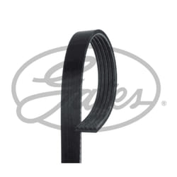 Cinghia Poly-V GATES GAT5PK1256EST