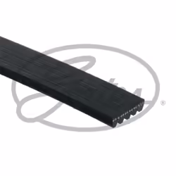 Cinghia Poly-V GATES GAT5PK1256EST