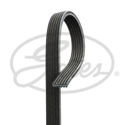 Cinghia Poly-V GATES 6DPK2065