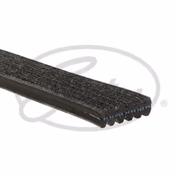 Cinghia Poly-V GATES 6DPK2065