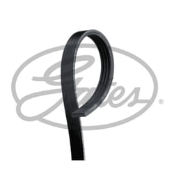 Cinghia Poly-V GATES 4PK1138