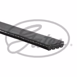 Cinghia Poly-V GATES 4PK1138