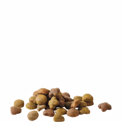 Versele-Laga Happy Life Light Senior 15kg Adulto Vegetale