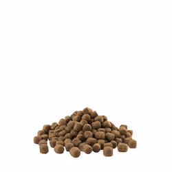 Versele-Laga Opti Life Adult Digestion Mini 7,5 kg Adulto Agnello, Riso