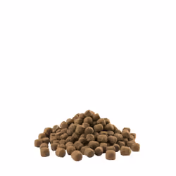 Versele-Laga Adult Skin Care Mini 2.5kg 2,5 kg Adulto Pollo