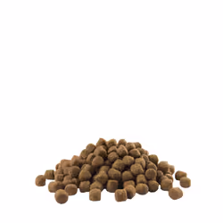 Versele-Laga Puppy Medium 2.5kg 2,5 kg Cucciolo Pollo