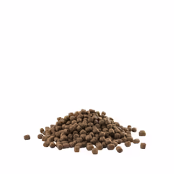 Versele-Laga Puppy Mini 2.5kg 2,5 kg Cucciolo Pollo