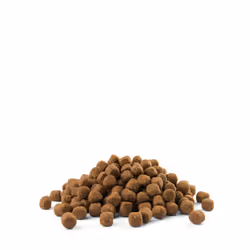 Versele-Laga Puppy Sensitive All Breeds 12,5 kg Cucciolo Salmone