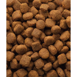 Versele-Laga 5410340380178 cibo secco per cani 20 kg Agnello, Riso