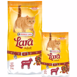 Versele-Laga 5410340409978 cibo secco per gatti 2 kg Adulto Agnello