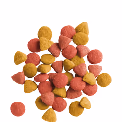 Versele-Laga Adult Sterilized cibo secco per gatti 10 kg Adulto