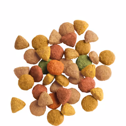 Versele-Laga Adult with Turkey & Chicken 10kg, Adulto, Tacchino, 10 kg