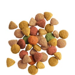 Versele-Laga Adult with Turkey & Chicken 10kg cibo secco per gatti Adulto Tacchino