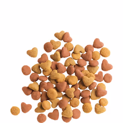 Versele-Laga Junior 12m, Gattino, Pollo, 2 kg