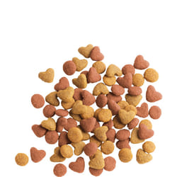 Versele-Laga Junior 12m cibo secco per gatti 2 kg Gattino Pollo