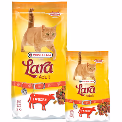 Versele-Laga Adult Beef flavour cibo secco per gatti 2 kg Adulto Manzo