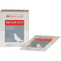 Versele-laga - oropharma recup-lyt 240G