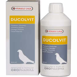 Liquido multivitaminico preparato. Il multivitaminico si è preparato a sostenere lo stato generale e migliorare il recupero d ...