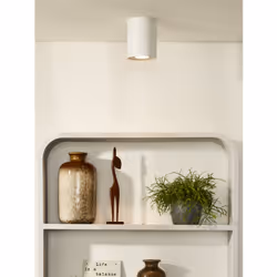 Lucide 22952/01/31 non classificato