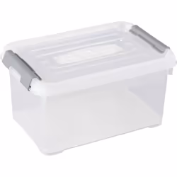 Dettagli tecnici Caratteristiche scatole impilabile Colore Trasparente, Argento Dimensione del prodotto, larghezza 194 mm Dim ...
