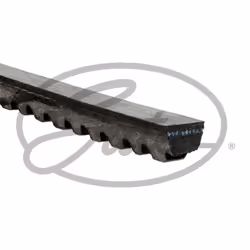 Cinghia Poly-V GATES 6225MC