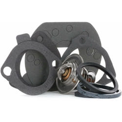 TH10981G1 Termostato Refrigerante - Gates