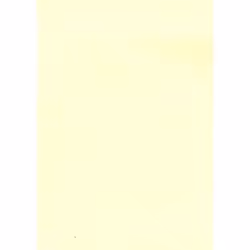 DECAdry SCL2058, Stampa laser/inkjet, A4 (210x297 mm), 100 fogli, Crema, 100 g