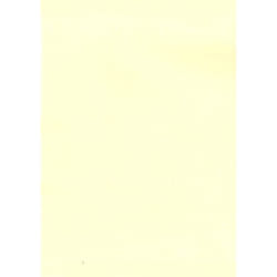 DECAdry SCL2058 carta inkjet A4 (210x297 mm) 100 fogli Crema