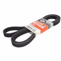 Colore: nero. Indice: GAT7DPK2425. Larghezza [mm]: 24,9. Lunghezza [mm]: 2425. Materiale: Poliestere, EPDM (Etilene-Propilene ...