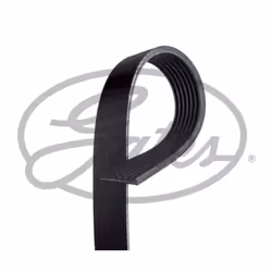 Colore: nero. Indice: GAT7PK1240. Larghezza [mm]: 24,9. Lunghezza [mm]: 1240. Materiale: Poliestere, EPDM (Etilene-Propilene- ...