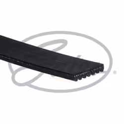 Cinghia Poly-V GATES 7PK1240