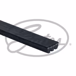Cinghia Poly-V GATES 3PK815