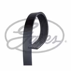Cinghia Poly-V GATES 6PK955