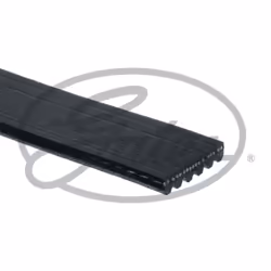 Cinghia Poly-V GATES 6PK955