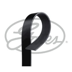 Cinghia Poly-V GATES 10PK1235HD